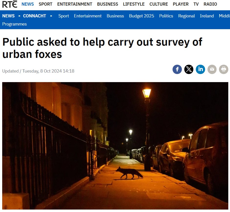No bother. What questions are we asking them?