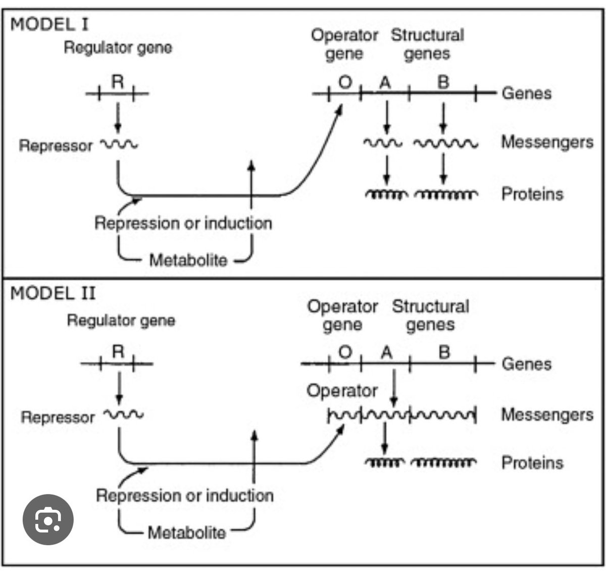 After yesterday’s miRNA nobel price, let’s remember model 2 from Jacob and Monod.
