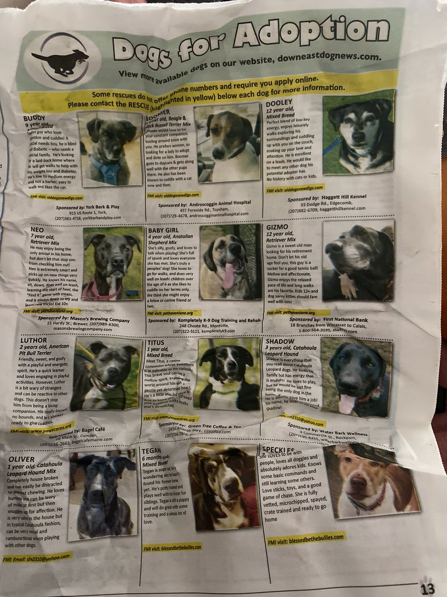Huge thumbs up to Herbal Revolution Fire Cider for shipping the Fire Cider wrapped in Dogs for Adoption paper 🥰
Now lets drink this fire cider and knock this virus out!  #AdoptDontShop 
herbalrev.com/products/fire-…