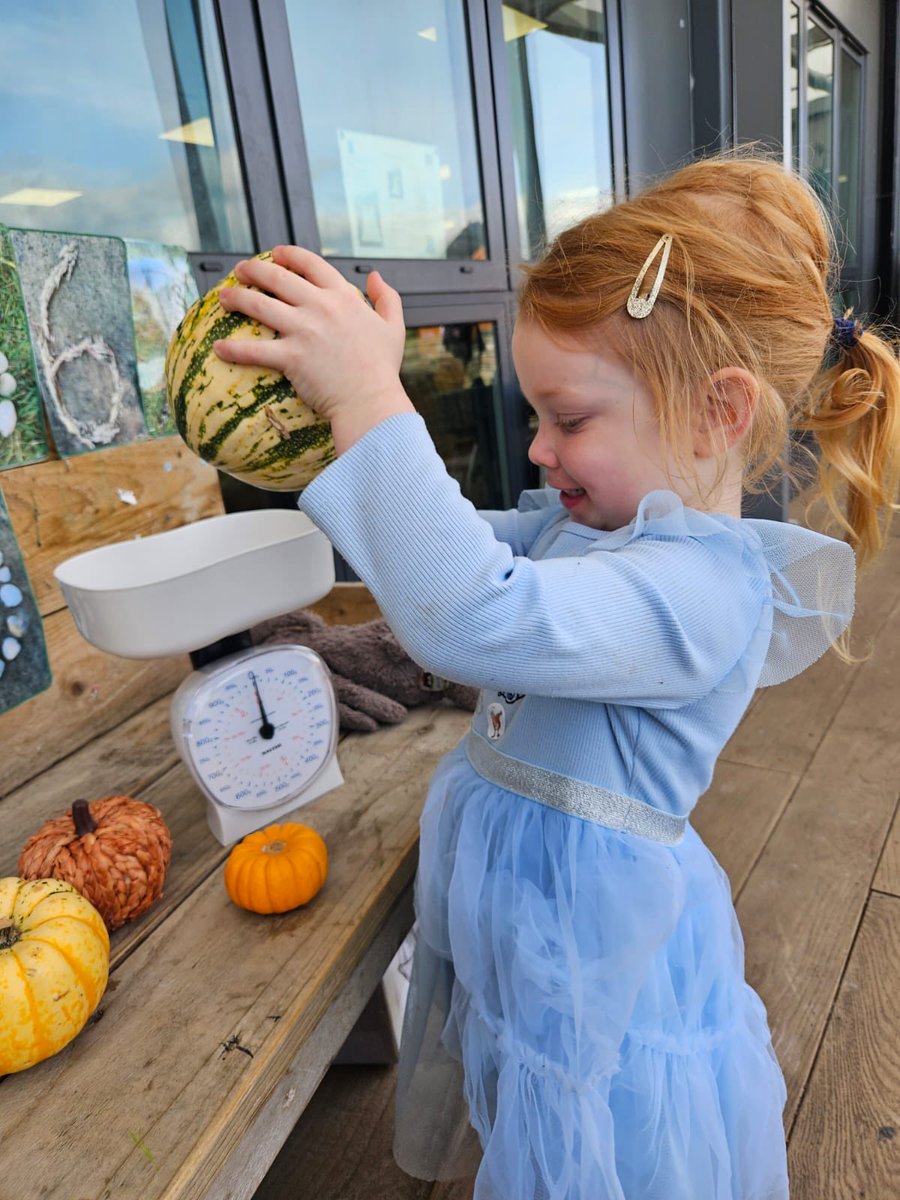 Forehill Nursery tweet media