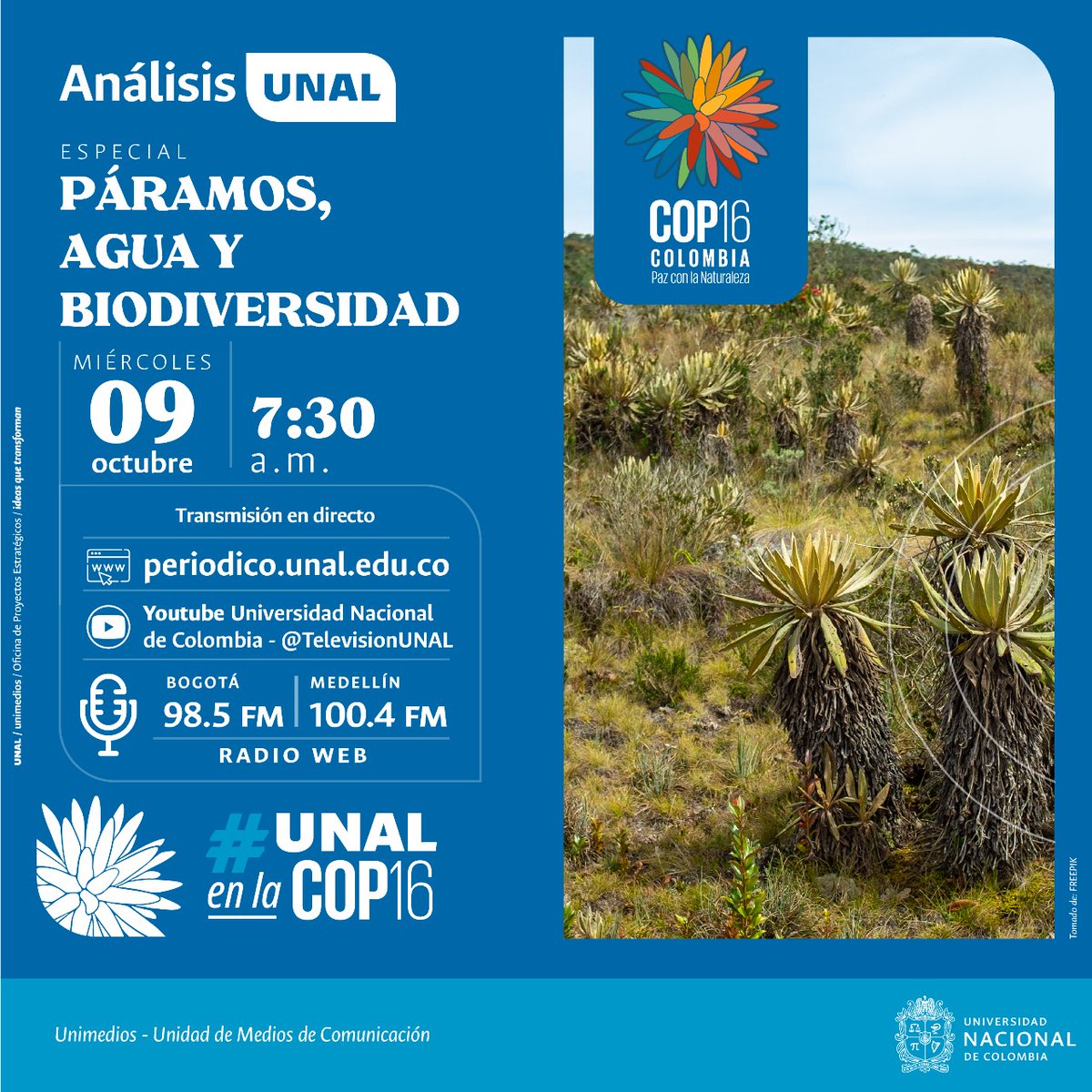 DIEB_UNAL's tweet image. #UNALenlaCOP16 📢miércoles 9 de octubre ⏰7:30 a.m. conéctense con el programa #AnálisisUNAL en la sede @BogotaUNAL páramos, agua y biodiversidad 🌿💧| Profesores: Conrado de Jesús Tobón, Jesús Orlando Rangel, Jesús Orlando Vargas | Transmisión 👉 youtube.com/live/-BmjZuMje…