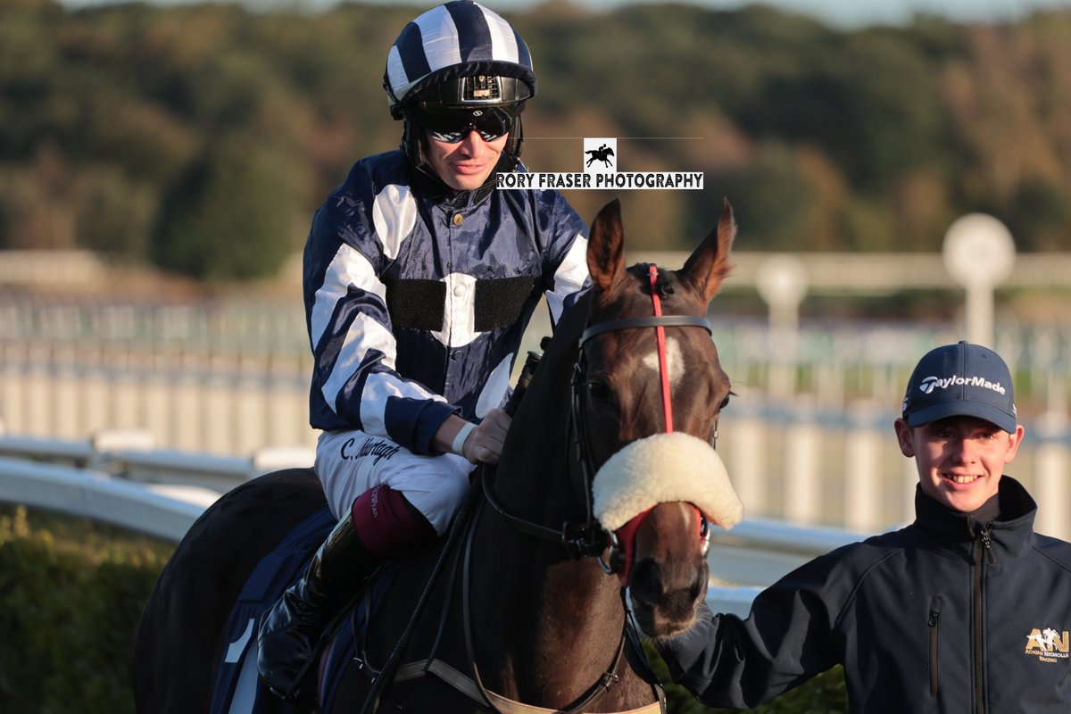 Rory Fraser Photography🤘 (@92roryf) on Twitter photo ARIE GORDYE (Waldgeist x Zoella) at Newcastle last week for a class five maiden (1m)
Trained by <a href="/Trotternicholls/">Adrian Nicholls</a> and owned by C R Hirst.
A half sister to the useful handicapper Back See Daa, making her debut in this race. ARIE GORDYE (Waldgeist x Zoella) at Newcastle last week for a class five maiden (1m)
Trained by <a href="/Trotternicholls/">Adrian Nicholls</a> and owned by C R Hirst.
A half sister to the useful handicapper Back See Daa, making her debut in this race.