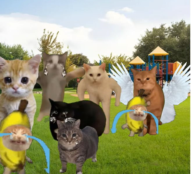 buffcattt's tweet photo. Don't touch any homies of #Buffcat, or you're dead πΌπ
$ELGATO $HAPPI $MINI $ZAZU $PopCat $MICHI https://t.co/E3P8RjoGLu