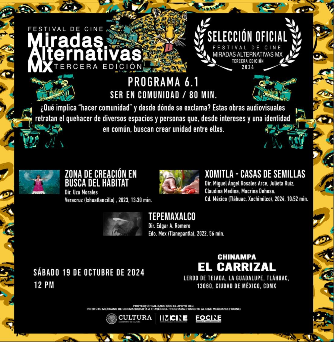 Umbela - Tejiendo transformaciones sostenibles tweet media