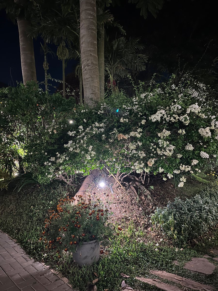 Makan besar 🤝🤏🏽✨
#portugal #porsitukanggalon