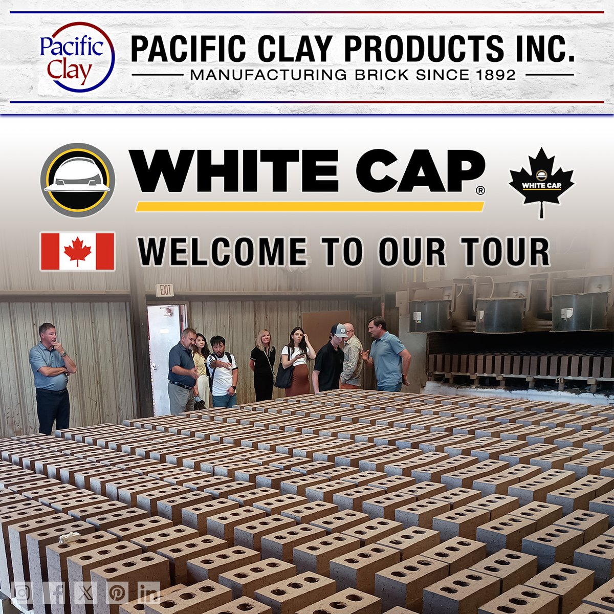 Pacific Clay tweet media