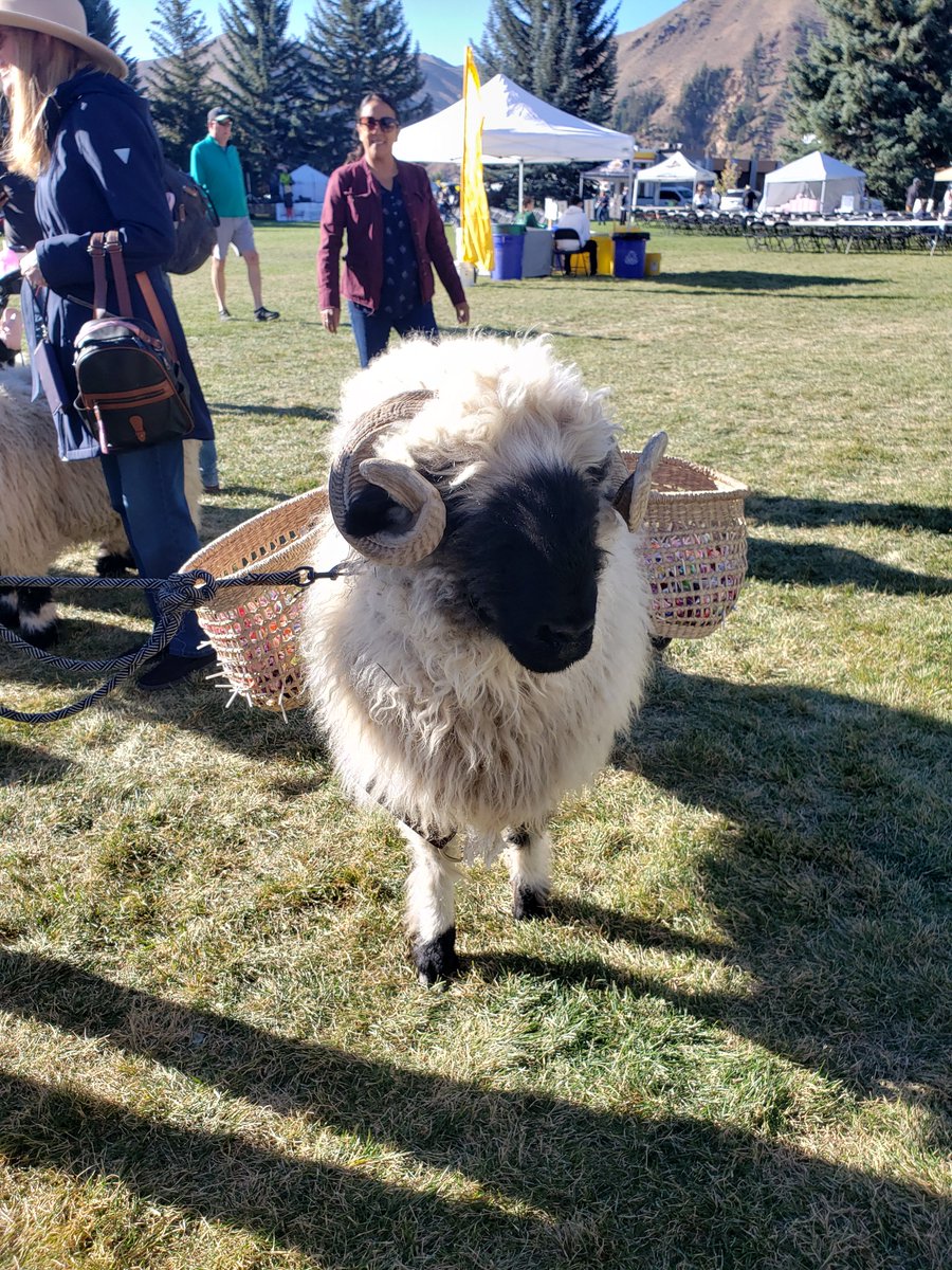 Maria Rosario Jackson, PhD (@neaartschairmrj) on Twitter photo Thank you <a href="/CongMikeSimpson/">Congressman Mike Simpson</a> for inviting me to attend the 28th Annual Trailing of the Sheep Festival in Idaho with you last week. It was wonderful to experience and celebrate the rich culture and history of sheepherding in Idaho! Thank you <a href="/CongMikeSimpson/">Congressman Mike Simpson</a> for inviting me to attend the 28th Annual Trailing of the Sheep Festival in Idaho with you last week. It was wonderful to experience and celebrate the rich culture and history of sheepherding in Idaho!