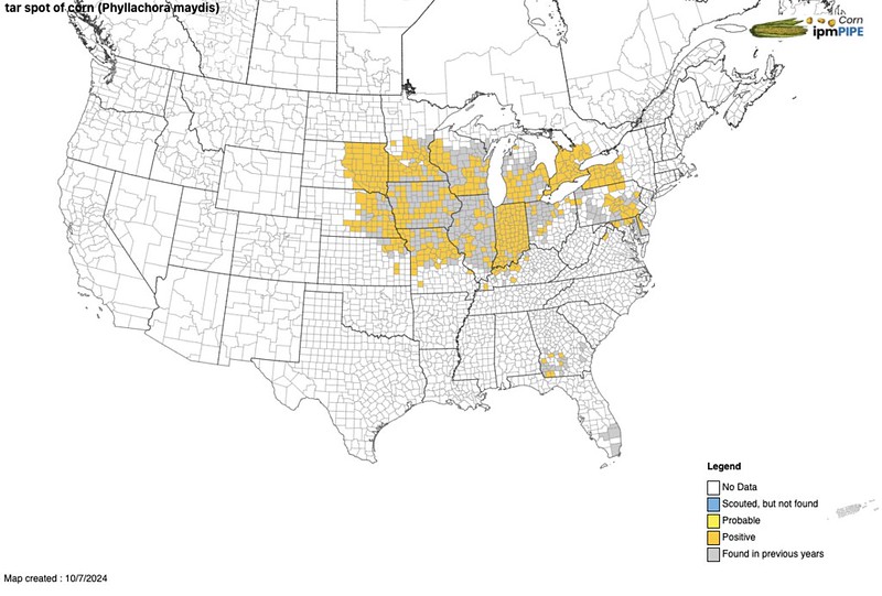 A fungal disease that can cause yield loss in #corn has been found in #Arkansas.  While it has been active in the Midwest since 2015, tar spot has never been confirmed in commercial Arkansas agriculture. Learn more at bit.ly/Ark-tar-spot-f…. @AgInArk