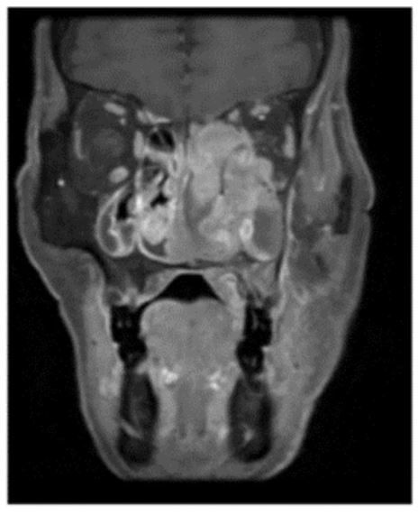 JGIM Journal of General Internal Medicine tweet media