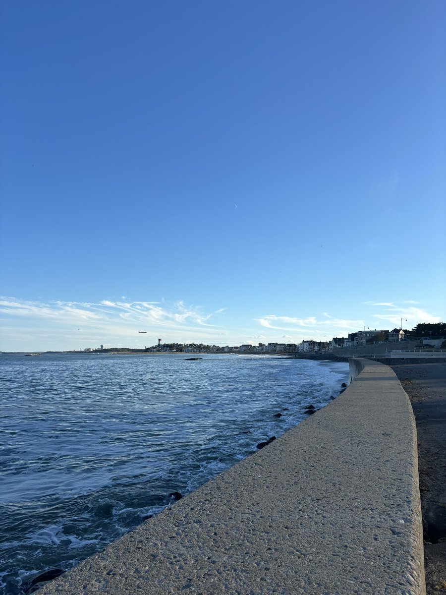 Great first time at <a href="/accpchest/">CHEST</a>! Got the chance to share my work and see a bit of what Boston has to offer! #CHEST2024