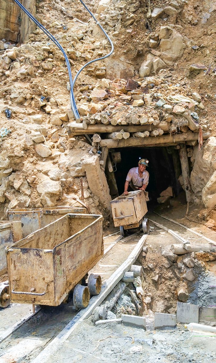 NeuroCity tweet media