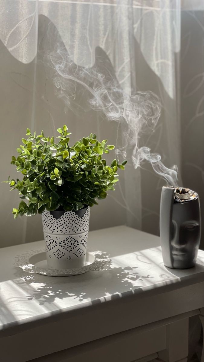 يلي تجااارو لنسيتي ...

           راااگم قزوااله في بيتي ...❤️