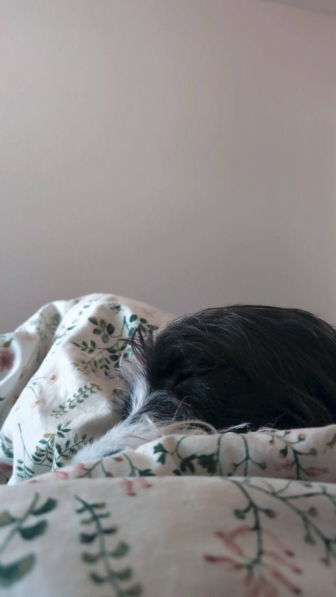 Look at this cutie? Isn't this the perfect photo for a lockscreen? 😍😍