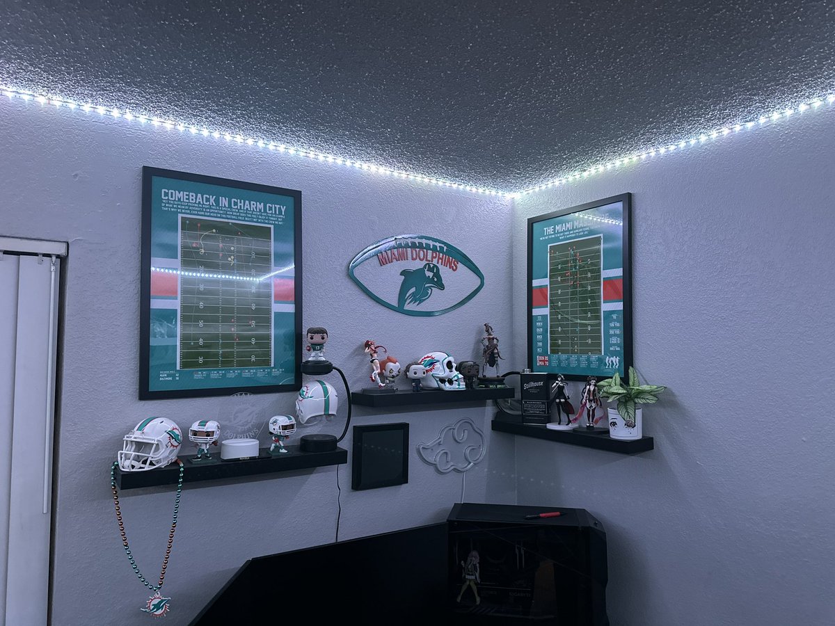 FinsUp0916 tweet media