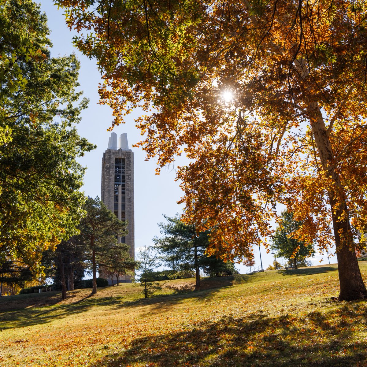 Fall is just starting to peek through on the Hill. 🍁  💙 #KUCollege #HeartofKU #UniversityofKansas #RockChalk