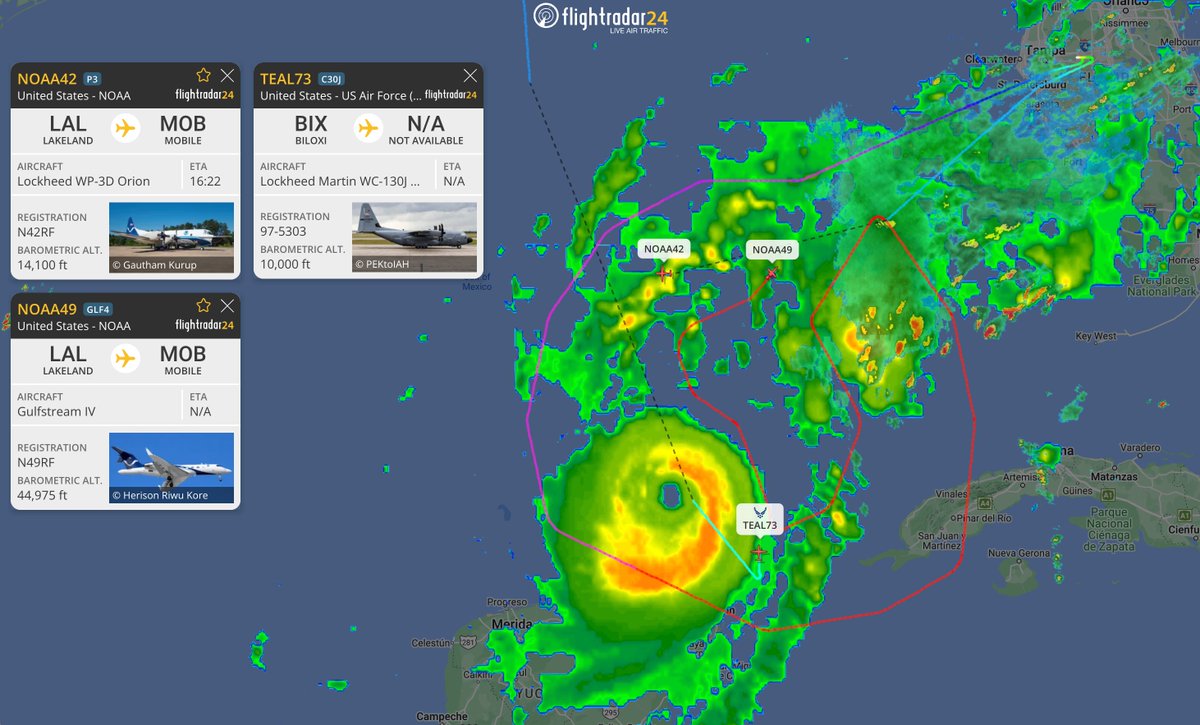 Flightradar24 (@flightradar24) on Twitter photo The <a href="/NOAA_HurrHunter/">NOAA Aircraft Operations Center</a> & <a href="/53rdWRS/">Hurricane Hunters</a> Hurricane Hunters hard at work this afternoon as Hurricane #Milton churns past Mexico’s Yucatán Peninsula and moves toward Florida. flightradar24.com/multiview/3774… The <a href="/NOAA_HurrHunter/">NOAA Aircraft Operations Center</a> & <a href="/53rdWRS/">Hurricane Hunters</a> Hurricane Hunters hard at work this afternoon as Hurricane #Milton churns past Mexico’s Yucatán Peninsula and moves toward Florida. flightradar24.com/multiview/3774…