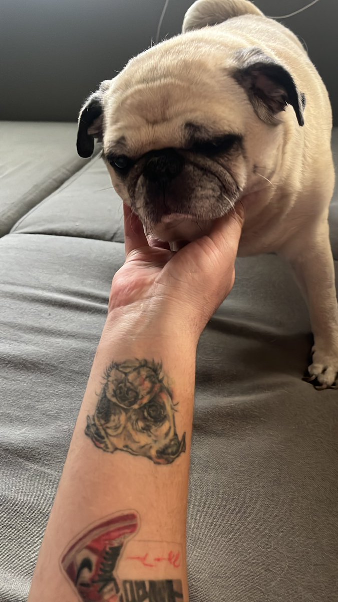 Blanquet (Efrain Juarez’s version) tweet media