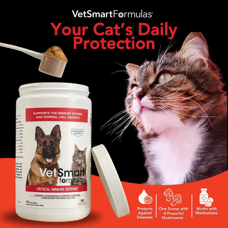 getvetsmart's tweet photo. ⭐️⭐️⭐️⭐️⭐️ - "It works but don't skimp..1/2 scoop 1x daily did nothing for my pet's tumor but 1 scoop 2x daily, and it is shrinking." - Gerald