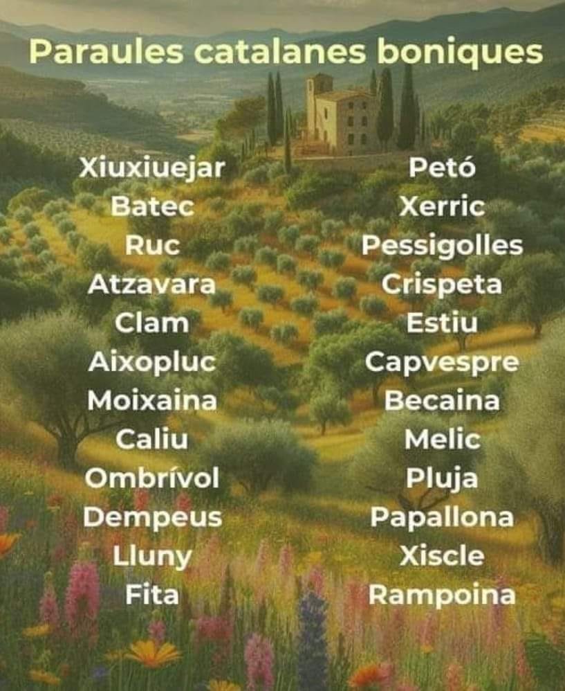 jm_clavero's tweet photo. https://t.co/5LRfq5Ciwx