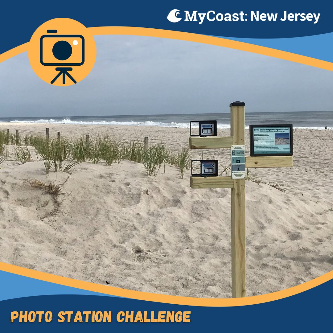 JCNERR (@jcnerr) on Twitter photo Next up is Island Beach State Park. Make your way to the Fishermanās Walkway boardwalk trail and motor vehicle beach access. Sand dunes on this shoreline are held together and strengthened by the roots of plants. <a href="/NewJerseyDEP/">New Jersey Department of Environmental Protection</a> <a href="/RutgersNJAES/">Rutgers NJAES</a>
mycoast.org/nj/photo-stati⦠Next up is Island Beach State Park. Make your way to the Fishermanās Walkway boardwalk trail and motor vehicle beach access. Sand dunes on this shoreline are held together and strengthened by the roots of plants. <a href="/NewJerseyDEP/">New Jersey Department of Environmental Protection</a> <a href="/RutgersNJAES/">Rutgers NJAES</a>
mycoast.org/nj/photo-statiā¦