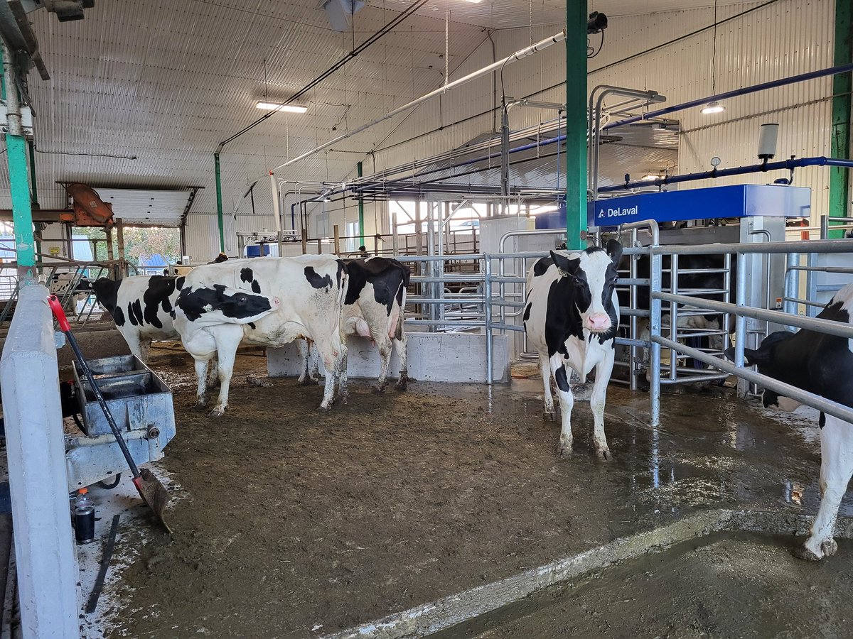 Congratulations to Shar-Leigh farms, the Moore family on the startup of their two <a href="/DeLavalCanada/">DeLaval Canada</a> V310's! <a href="/NorwellDairy/">Norwell Dairy</a> #dairydonewell #ontag