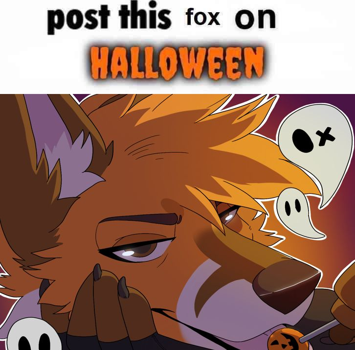 CopperTheFox 🦊 (@copperthefox_) on Twitter photo 