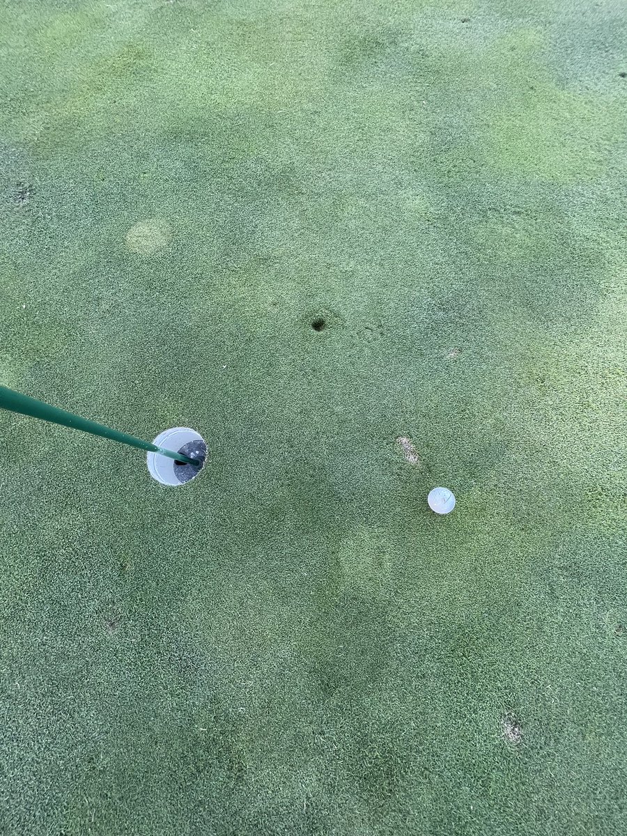 No, this is not Omeed’s ball. This is Jordan’s with an identical answer and another bird for the Seniors!