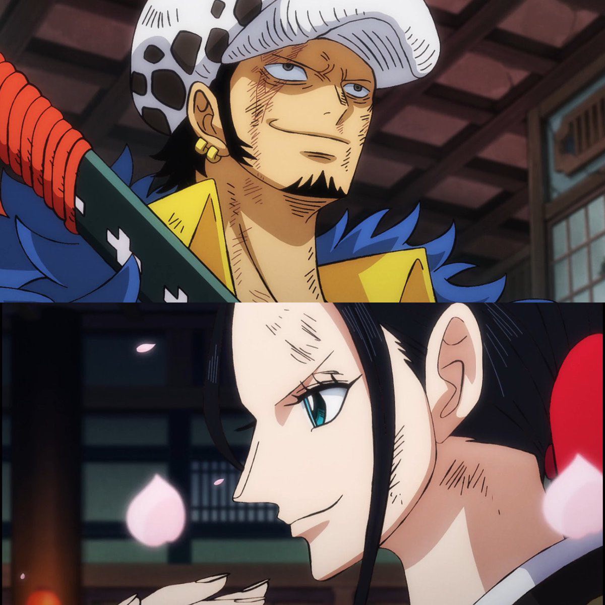 Sanji. 🇸🇦 tweet media