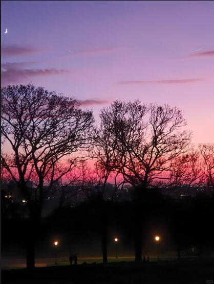 🌷As the sun sets, the sky is dyed golden, as if nature is performing a beautiful painting. Every sunset is nature's gentle farewell to us.❤️🥂
