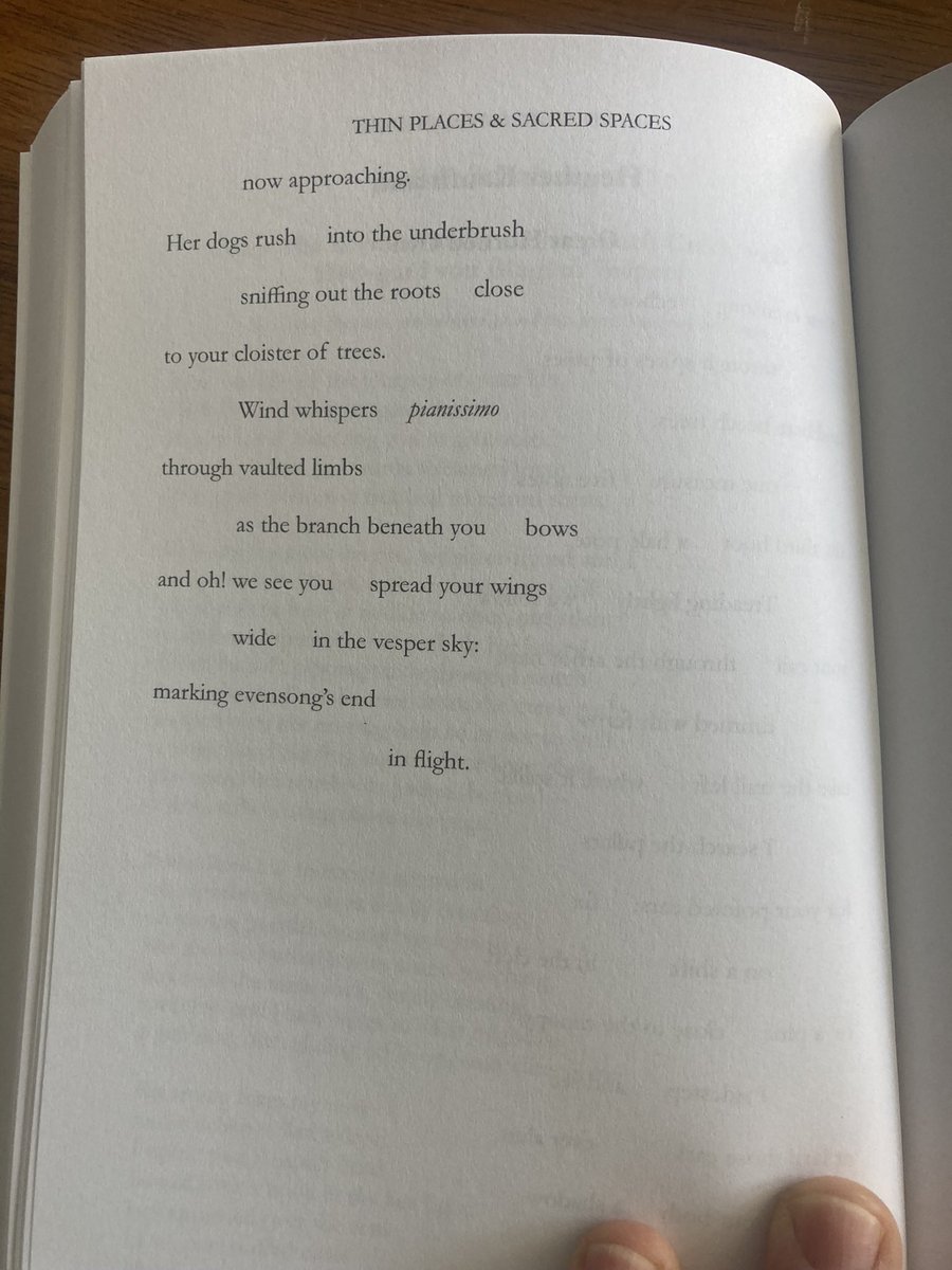 HeatherElizK's tweet photo. Two new poems in this beautiful anthology from @AmethystReview! #poetry #greathornedowl #owls #onwaking https://t.co/9LFLCd1sG8