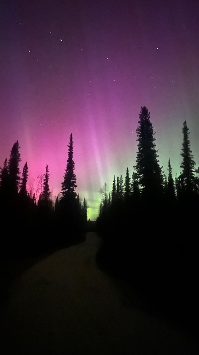 Aurora and the Dipper from my driveway in Fairbanks, Alaska.
