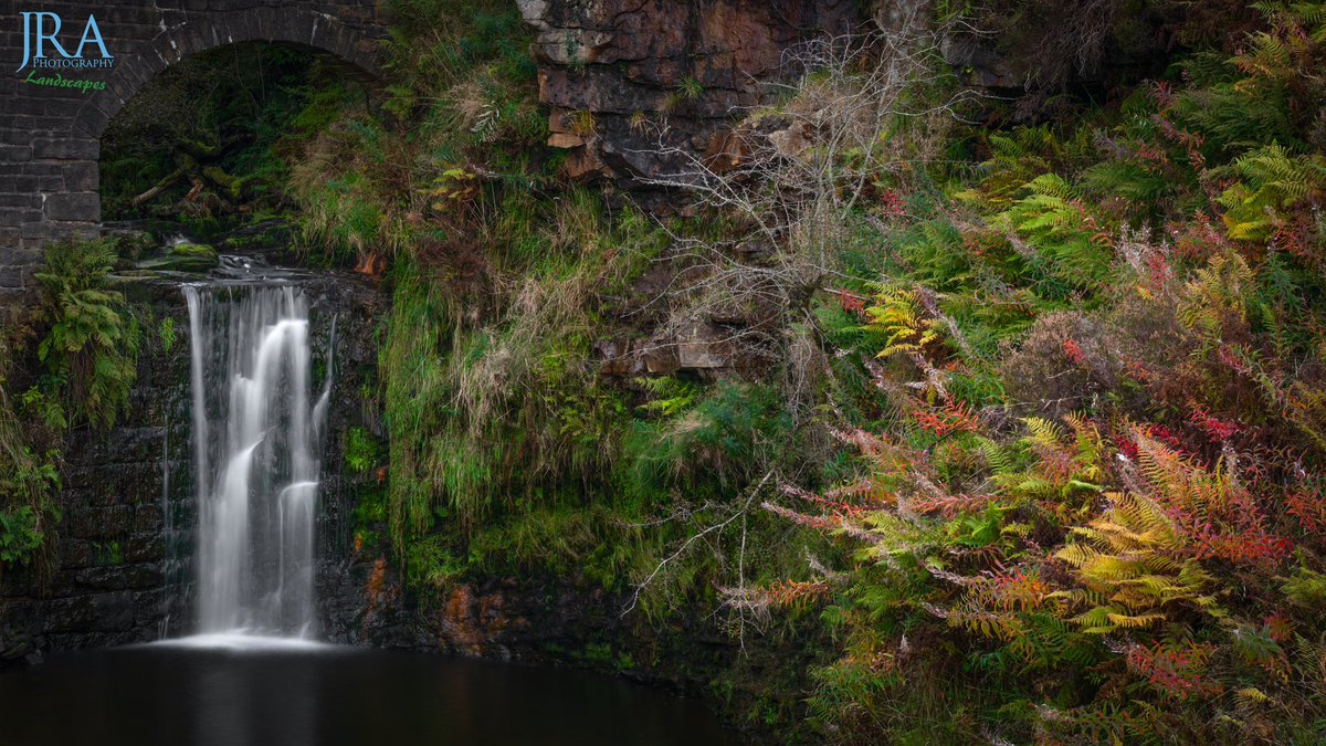 Jonathan Robert Atkinson Photography (@jratkinsonphoto) on Twitter photo š New Print Release: Fiery Ferns š
Add a touch of autumnās vibrant colours to your home with this stunning new print! šæ
Available in various sizes & finishes, perfect for nature lovers and seasonal decor.
š ā¦t-atkinson-photography.sumupstore.com/product/fiery-ā¦
#NaturePhotography #AutumnVibes #HomeDecor š New Print Release: Fiery Ferns š
Add a touch of autumnās vibrant colours to your home with this stunning new print! šæ
Available in various sizes & finishes, perfect for nature lovers and seasonal decor.
š ā¦t-atkinson-photography.sumupstore.com/product/fiery-ā¦
#NaturePhotography #AutumnVibes #HomeDecor