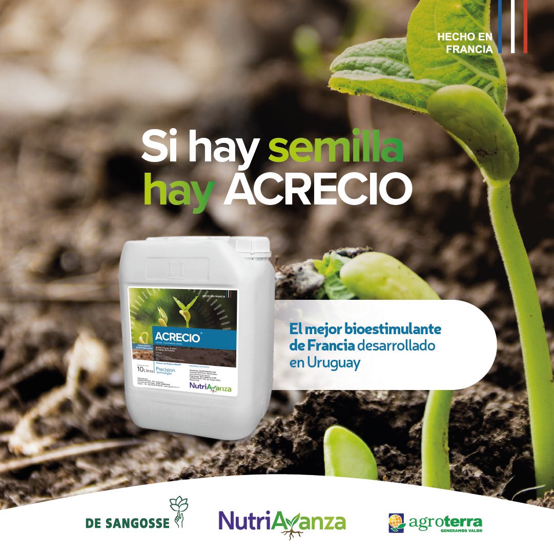#ACRECIO🇫🇷🇫🇷🇫🇷
✅  Mayor vigor de plántula 🌱
✅ Emergencia rápida y pareja 🚀
⏩️ Mejor implantación 🌱🌱🌱

✅ Mejor desarrollo radicular
✅ Más agua y nutrientes 
⏩️ Mayor rendimiento
#Nutriavanza <a href="/agroterrauy/">agroterrauy</a> 🇺🇾
