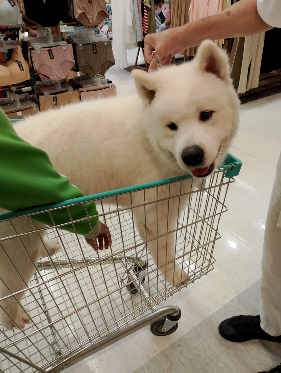 What I up to in store now