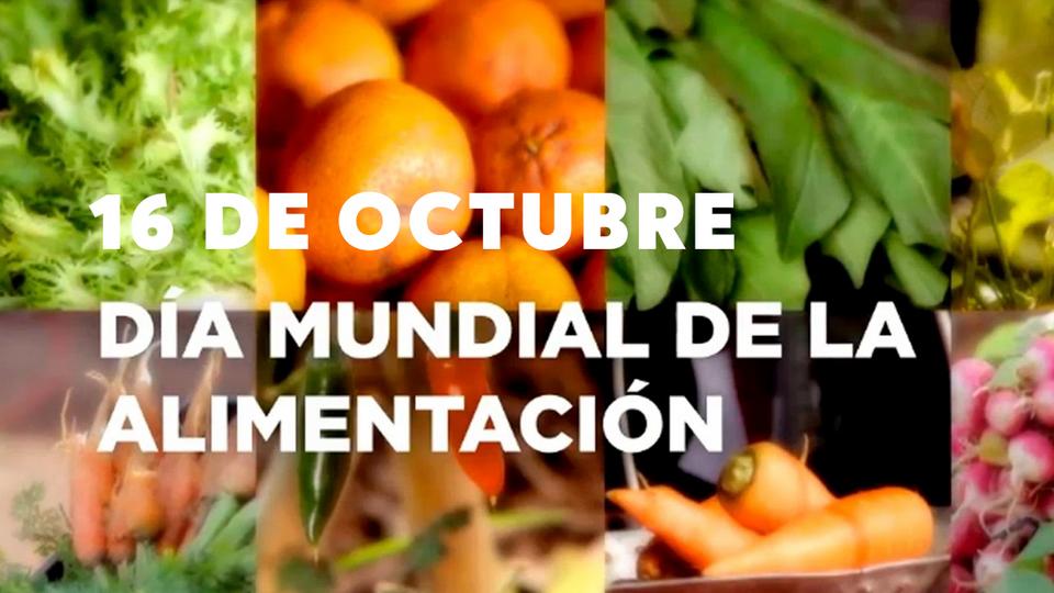 codincam's tweet image. Deberíamos tener una mayor diversidad de alimentos nutritivos disponibles en nuestros campos, en nuestros mercados y en nuestras mesas para beneficio de todos. 
#diamundialalimentaciom