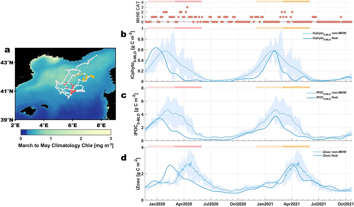 🌊#MarineHeatWaves are disrupting ocean ecosystems in the NW Mediterranean! CAREHeat results reveal up to a 70% reduction in phytoplankton biomass &amp; cascading effects on the food chain.
Learn more: doi.org/10.1029/2024GL…
#MHW #OceanHealth #ClimateChange #EarthObservation