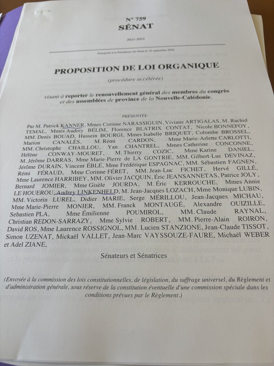 A_Linkenheld's tweet photo. #NouvelleCalédonie
En commission des #Lois au @Senat, examen de notre #PPLO visant à reporter l’organisation des élections locales jusqu’au 30.11.25.
Sans cette initiative🌹et la position constante des @senateursPS, l’apaisement tant attendu et enfin proposé ne serait possible. https://t.co/LHgjZqghW8