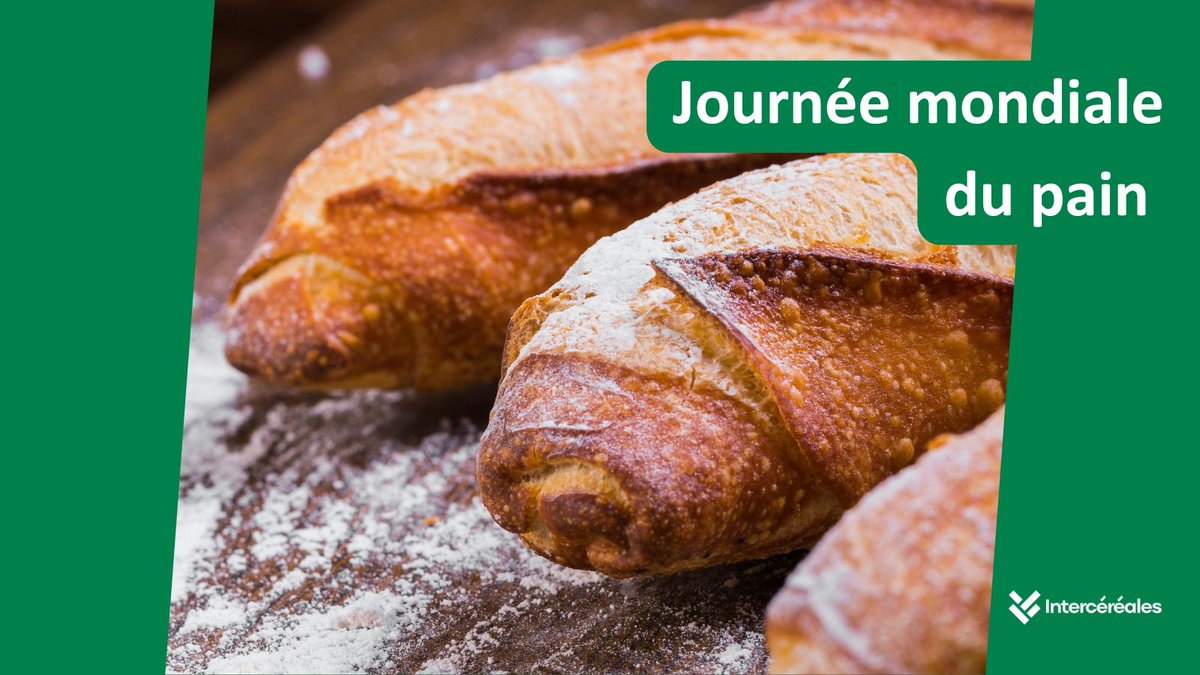 Intercereales (@intercereales) on Twitter photo Les Français en consomment en moyenne 38 kg/an et 96% d'entre eux estiment qu'il est incontournable.
Il est issu d'une recette simple : eau, farine, levure et une pincée de sel.
🎉C'est bien évidement le #pain, que l'on célèbre mondialement aujourd'hui 😋
<a href="/cnbpf/">CNBPF - Confédération Boulangerie Pâtisserie</a> <a href="/FederationFEB/">FEB</a> Les Français en consomment en moyenne 38 kg/an et 96% d'entre eux estiment qu'il est incontournable.
Il est issu d'une recette simple : eau, farine, levure et une pincée de sel.
🎉C'est bien évidement le #pain, que l'on célèbre mondialement aujourd'hui 😋
<a href="/cnbpf/">CNBPF - Confédération Boulangerie Pâtisserie</a> <a href="/FederationFEB/">FEB</a>