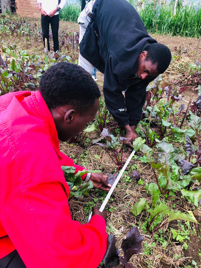 TurimurukundoS's tweet image. Market oriented agriculture research is unlocking opportunities for youth to innovate and thrive 

By aligning research with market needs, we're empowering young people to create solutions that drive profitability, sustainability, and food security.
#AgResearch #MarketDriven
