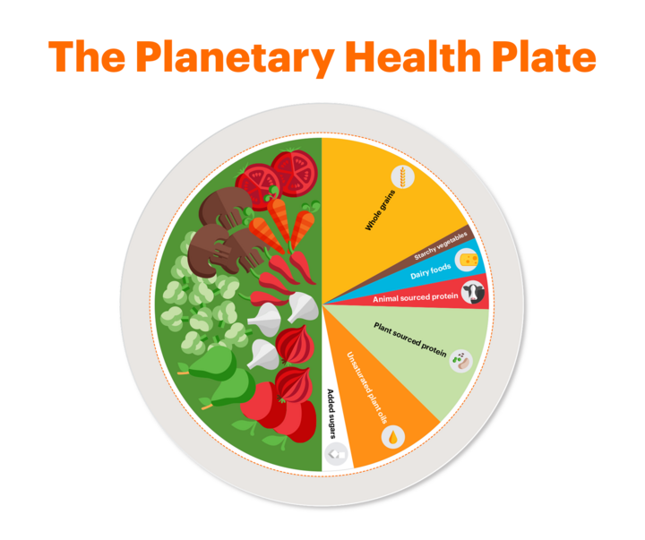 ScienceLinX's tweet photo. Meer over het #EAT-Lancet dieet vind je bij het @voedingscentrum ⬇️  https://t.co/zRj31BlEJW
#sciencelinx @univgroningen https://t.co/5FHZ1i8N8F