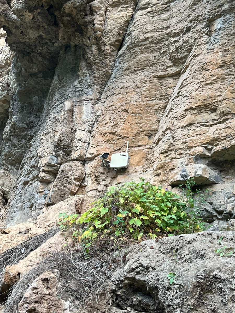 Antenna_Inc's tweet photo. #wifi #antenna #ap #cpe #camera #wireless #iot https://t.co/0FtOEeUfp8