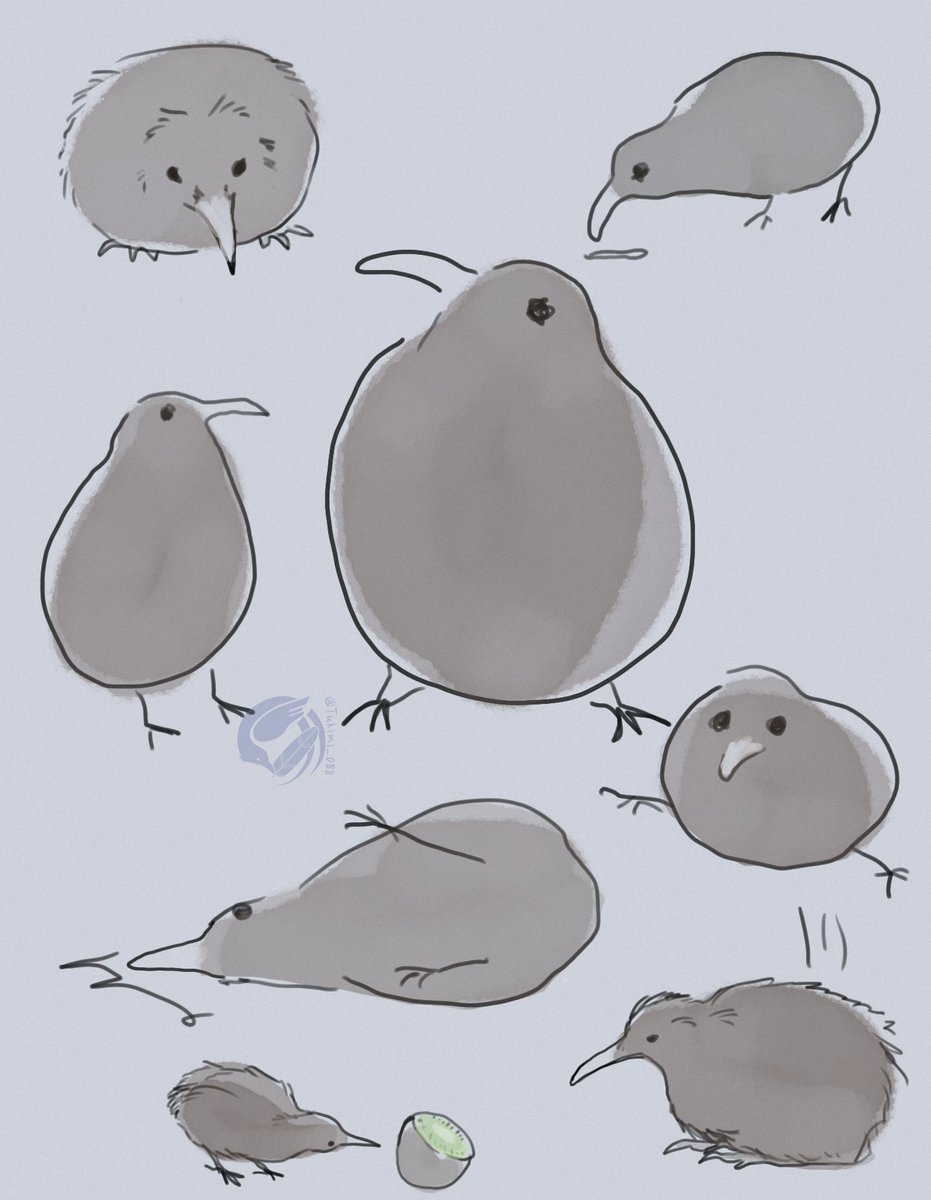 烏羽 仁🦤 (@tukimi_088) on Twitter photo 