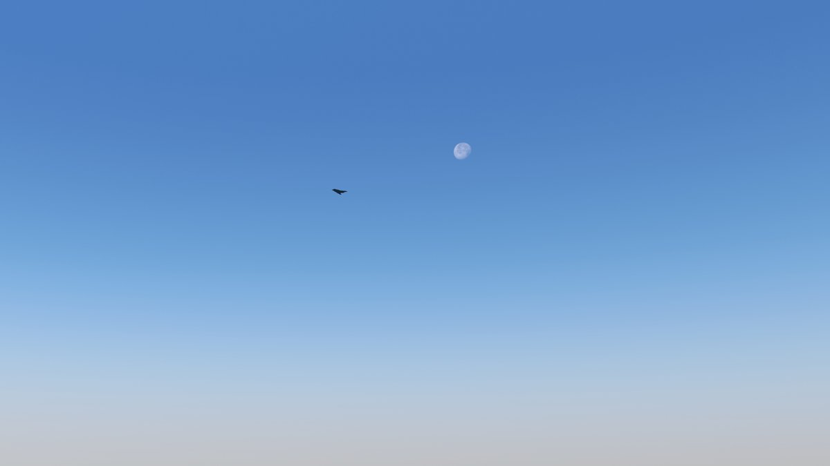 DIGITAL IMAGE DESIGN Ltd tweet media