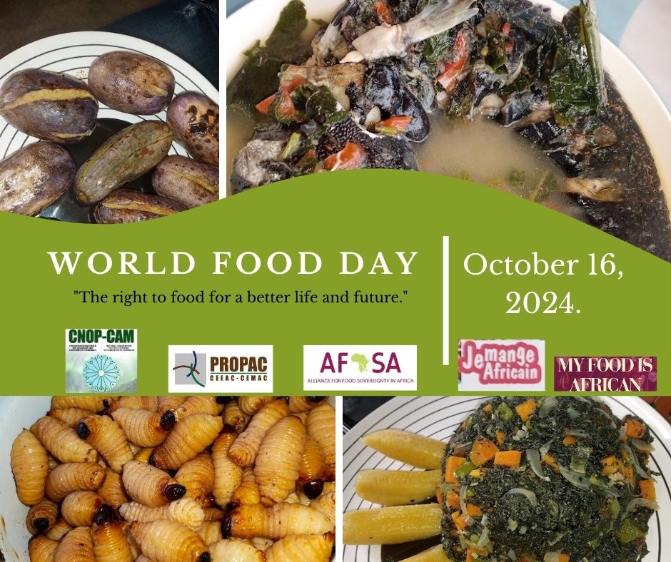 🌍🍽 Celebrating the Right to Healthy Food! 🌾 On October 16, we spotlight "the right to food for a better life and future." Let's support local farmers and enjoy culinary diversity for a sustainable future! ✨ #WorldFoodDay #IEatCameroonian #MyFoodIsAfrican