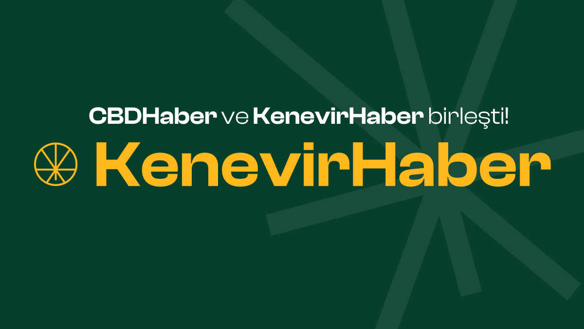 CBDHaber ve KenevirHaber birleşti! Tüm içeriğe kenevirhaber.com üzerinden erişebilirsiniz.