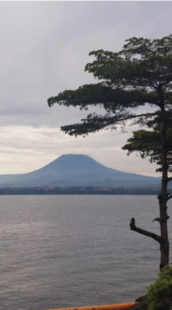 Israel Geological Society tweet media