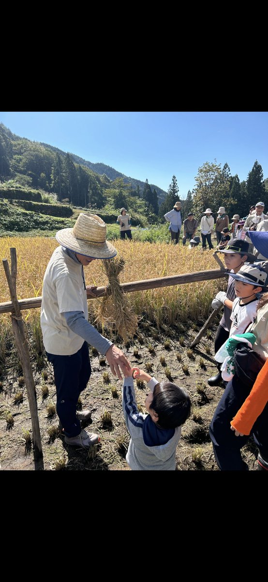 neonatural's tweet photo. 稲刈り＆はさがけを行いました🌾

昔ながらの手刈りで『ザクザクッ』と収穫！

自然の恵み、そして善玉菌を全身でたっぷりと感じる体験は、からだの内側から巡りがよくなります☺️

＃母袋有機農場
＃自社農場
＃農場の様子
＃郡上市
＃岐阜県
＃稲刈り

投稿者：農場スタッフ＜小島＞ https://t.co/sQZywqICBC