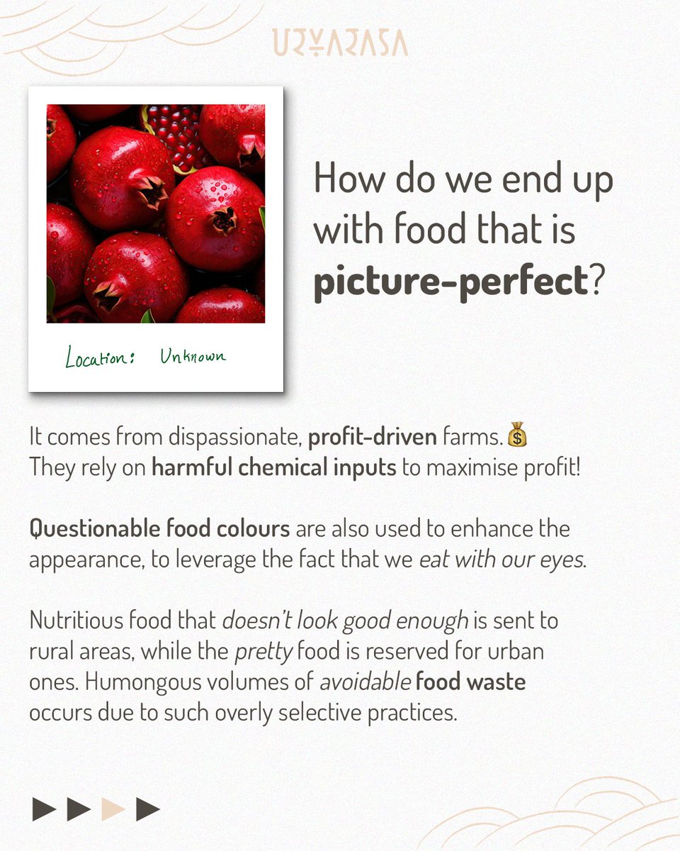 Urvarasa tweet media