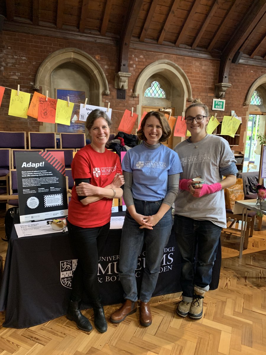 University of Cambridge Museums tweet media