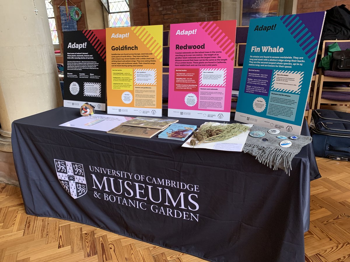 University of Cambridge Museums tweet media